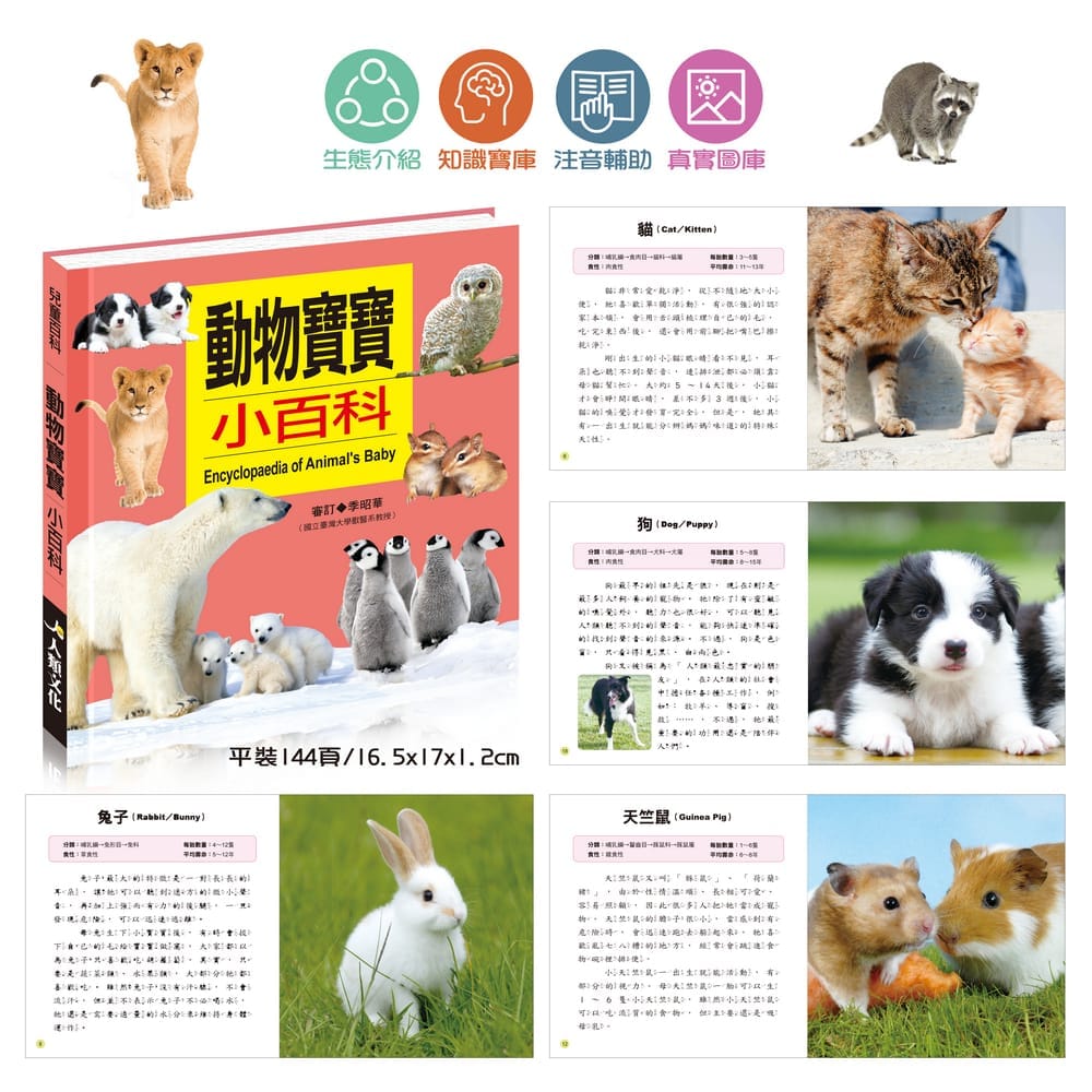 小百科系列 12款