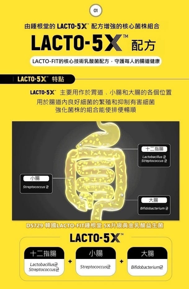鍾根堂LACTO-FIT 10億腸保益生菌 5X黃色升級版家庭號2gx120入